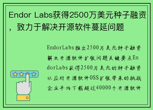 Endor Labs获得2500万美元种子融资，致力于解决开源软件蔓延问题 