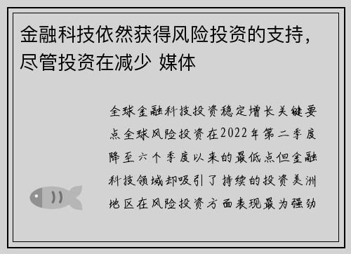 金融科技依然获得风险投资的支持，尽管投资在减少 媒体